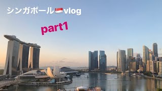 旅行好きのおすすめ！シンガポール旅行記🇸🇬part1【出国、ANAラウンジ、シンガポール航空プレエコ、リッツカールトン】