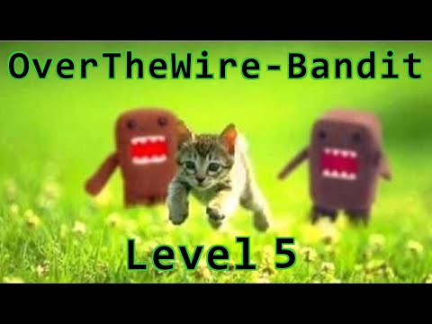 OverTheWire - Bandit Level 5 walkthrough
