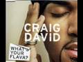 craig david - what's your flava? (todd's ...