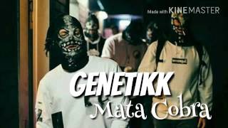 📷 Genetikk - [&quot;Mata Cobra&quot;]