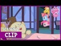 Mr And Mrs Cake Return Baby Cakes MLP FiM HD