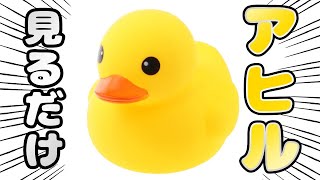 【アヒルという名の雑談枠】