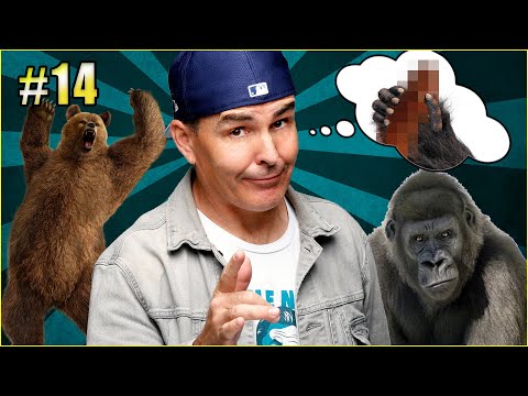 Would You Rather Fight A Grizzly Bear Or Silverback Gorilla ...