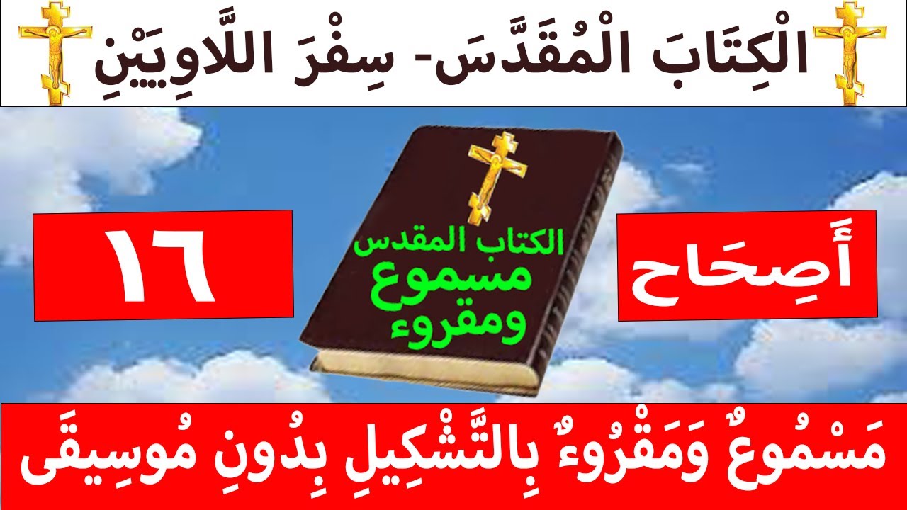 فيديو تفسير الكتاب المقدس | الكتاب المقدس رفيقي