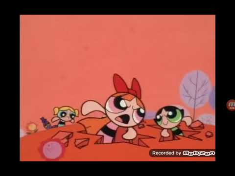 Blossom And Buttercup Are Fighting