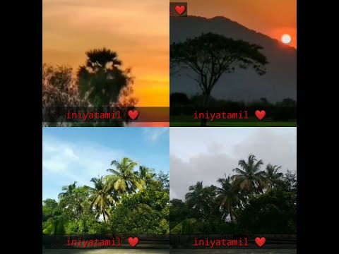 nature || rain video || iniya tamil