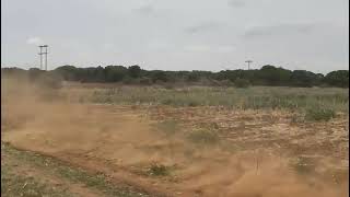 Global Elite 300 2025 (Kameel) Video deur Willie Du Preez