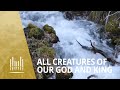 All Creatures of Our God and King (2012) | The Tabernacle Choir
