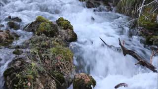 All Creatures of Our God and King (2012) - Mormon Tabernacle Choir