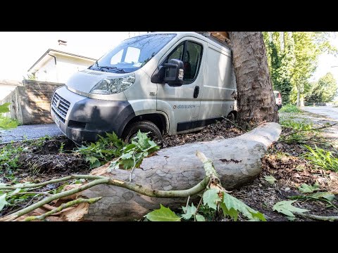 Maltempo, disagi a Voghiera: alberi e rami abbattuti