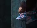 Samantha Tamil Actress Tamil Movie Actress Samantha YouTube Shorts Video Hindi Actress Shorts