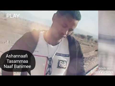 Ashannaafii Tasammaa Naaf Banimee