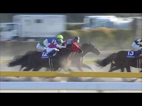 2018 February Stakes (G1)