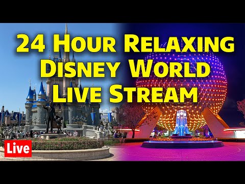 🔴Live: NEW 24 Hour Walt Disney World Relaxing Stroll & Ambiance Live Stream