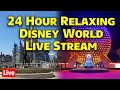 Live NEW 24 Hour Walt Disney World Relaxing Stroll Ambiance Live Stream
