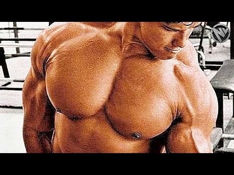 THE PUMP - GET IN THE ZONE - ARNOLD GYM MOTIVATION