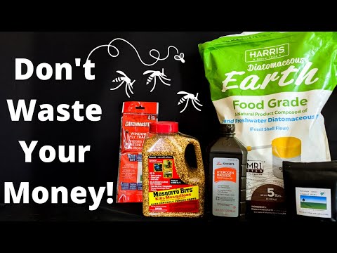 How To Get Rid Of Fungus Gnats | The BEST fungus gnat prevention and control method