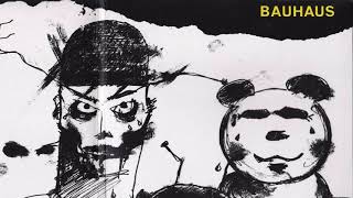 1. David Jay - Bauhaus (backwards part)