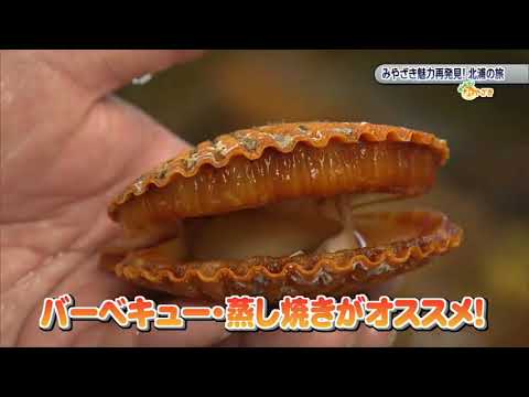 2021年11月6日(土)放送 「みやざき魅力再発見！北浦の旅」