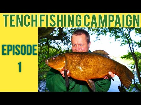 Tench Fishing - Specimen Tench Fishing (Video 225)