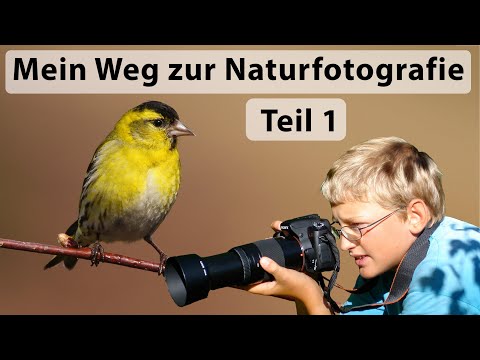 My path to nature photography (Part 1) - First camera, why I switched from Sony to Canon,...