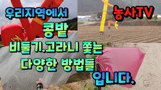 우리지역에서 콩밭에 비둘기, 고라니 쫓는 다양한 방법 소개 [농사TV]