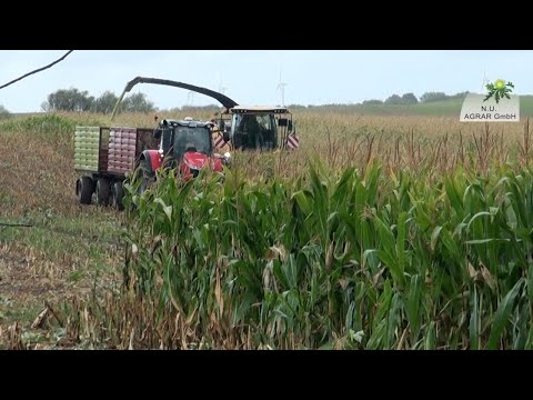 136. Feldexkursion: Mais - was steht nach der Ernte an?