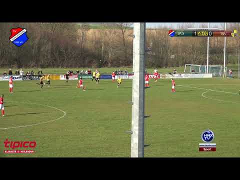 23.03.2019 SV Schluchtern vs TSV Schornbach