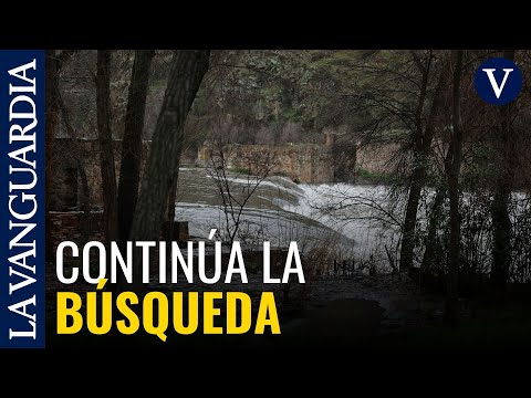 BORRASCA | Sin rastro de la mujer que se tiró al río en Málaga para salvar a su perro