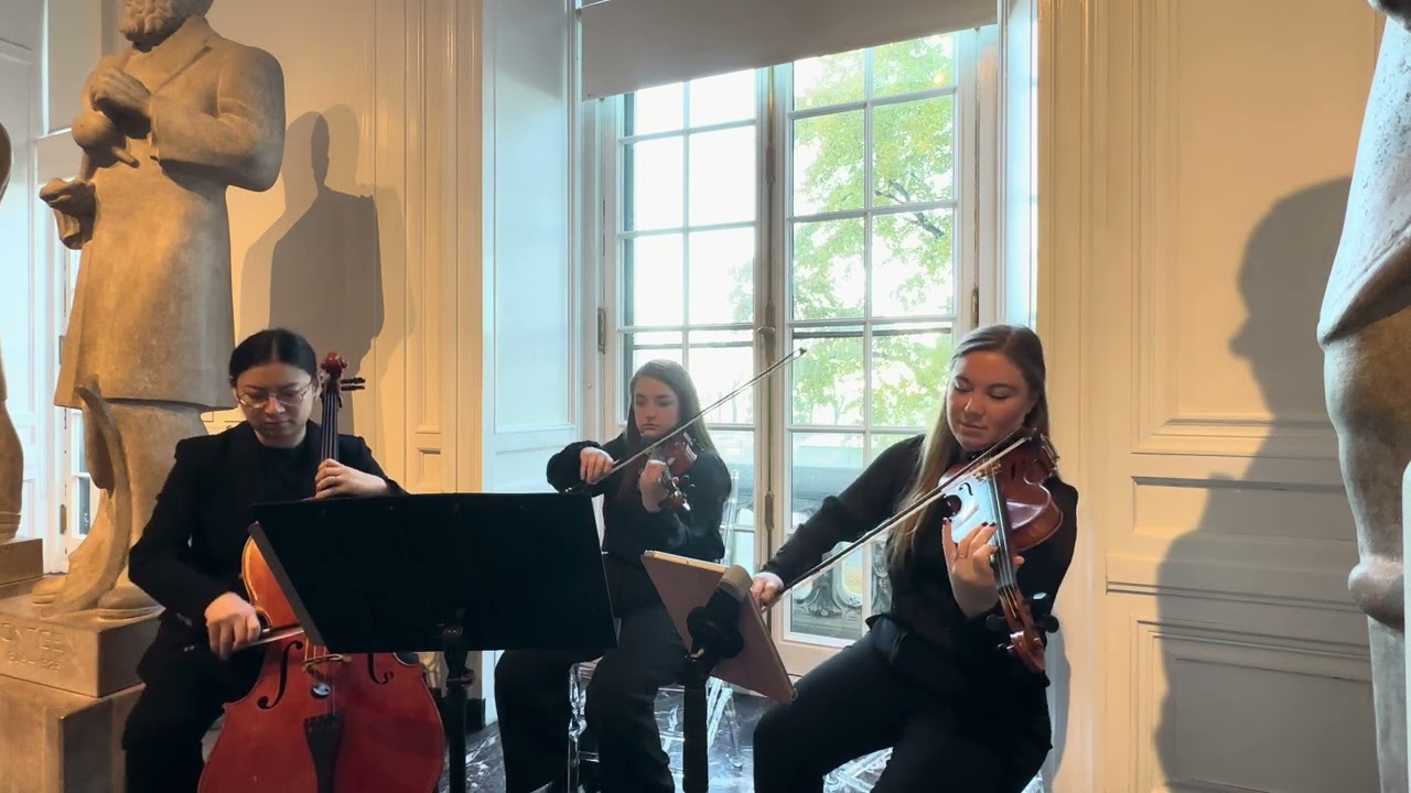 Promotional video thumbnail 7 for Piotrowski Strings