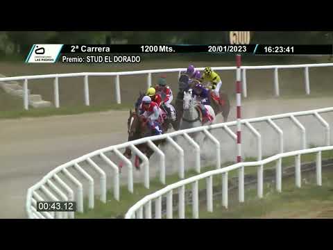 230120 c02 - ELEVADOR - HIPODROMO LAS PIEDRAS