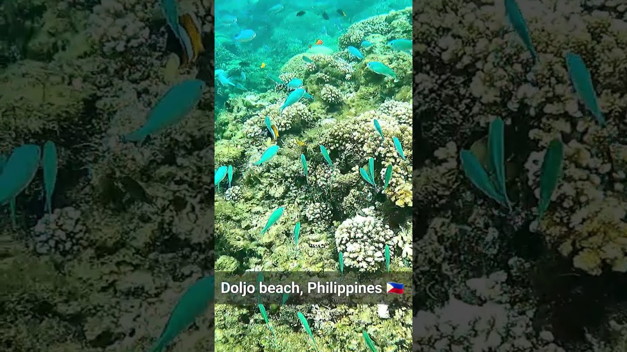 YouTube Short thumbnail