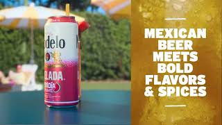  Chelada: Style Customization