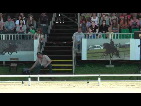 Teigur vom Kronshof, WK11