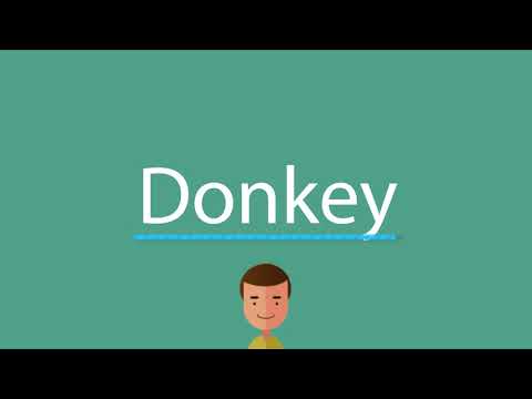 How to say Donkey
