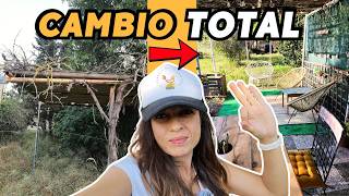 POR FIN! El cambio definitivo del PORCHE: de abandono a paraíso. Vlog296