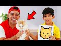 Lost Cat and Kittens Story with Jason