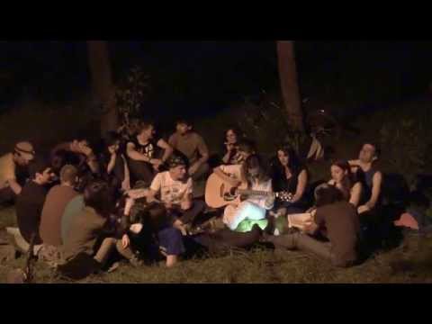 Cati si prietenii - Tincturi de frunze