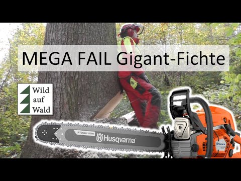 🌲Baumfällung geht völlig schief - FAIL mit Husqvarna 592XP und Stihl 500i #wildaufwald
