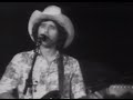 The Commander Cody Band - Down To Seeds And Stems Again Blues - 8/5/1977 (Official)