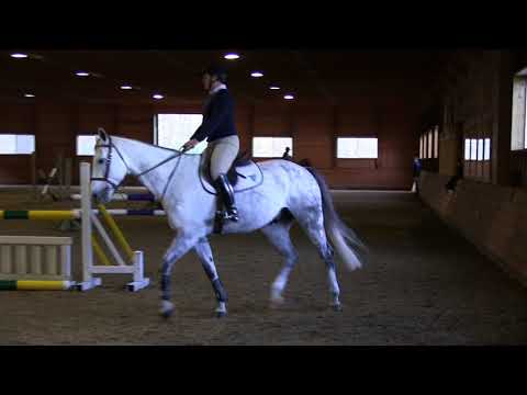 Jeff Cook Clinic | November 4, 2017 | Section 1