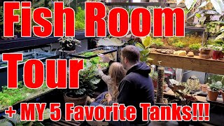 Fish Room Tour Winter 2026 with My Top 5 Tanks! 