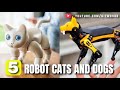 5 AMAZING ROBOT CATS DOGS Gizmo Hub