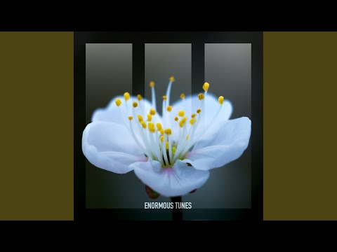 Nightingale (Extended Mix)