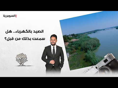 شاهد بالفيديو.. الصيد بالكهرباء... هل سمعت بذلك من قبل؟