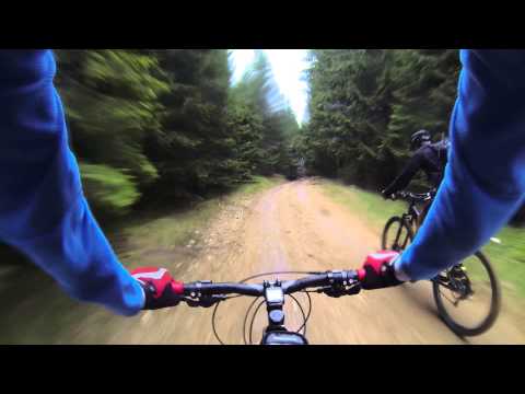 Vaideeni - Pietrele Găuriciu - sub vf. Nedeia - Piscul Puțului - Vaideeni