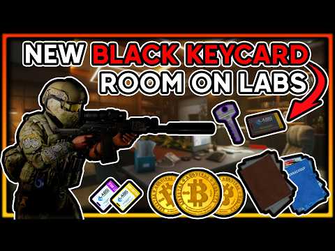 The Best Loot Room in Tarkov History! (10x Black Keycard Safe Test)