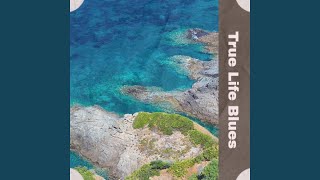 I&#39;m Gonna Be a Cowboy