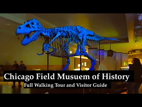 Field Museum of Natural History