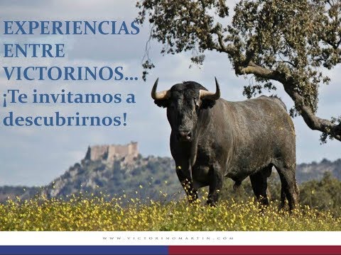 Así es el manejo de los animales bravos en el campo.